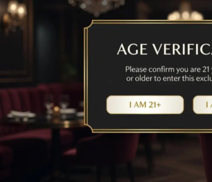 Ukázka elegantního modálního okna pro věkovou verifikaci hostů 21+